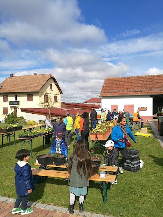 Plantation 16 mai 2026