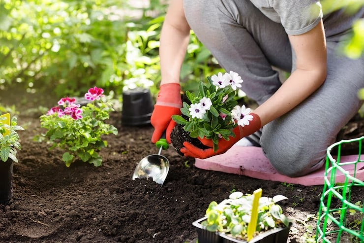 jardinier-plantant-fleurs-dans-jardin-photo-gros-plan_422666-1715 - copie